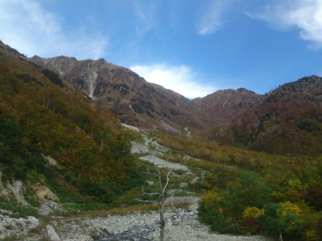 紅葉の山